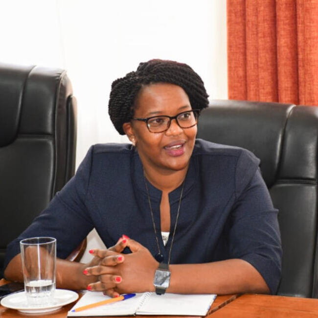 Babysitter in Porto: Irene