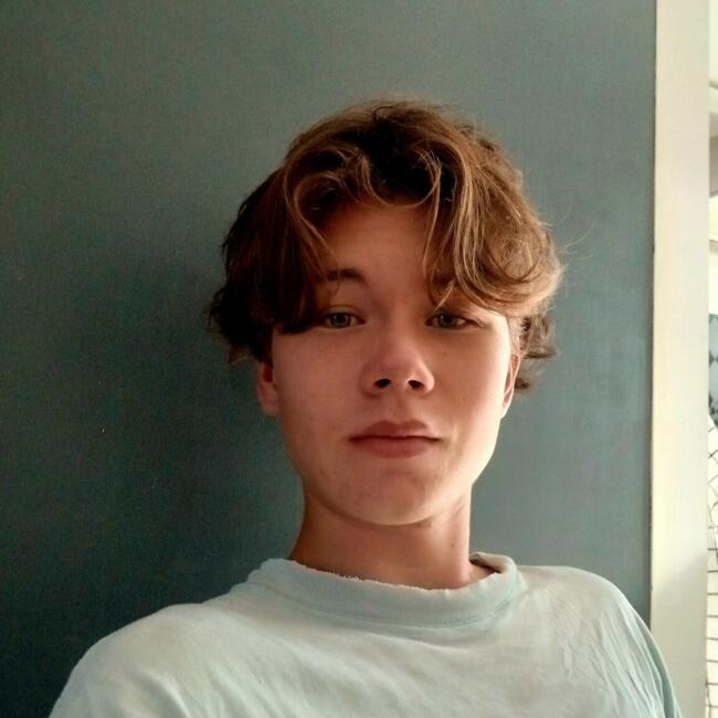 Babysitter in Nantes: Lucian