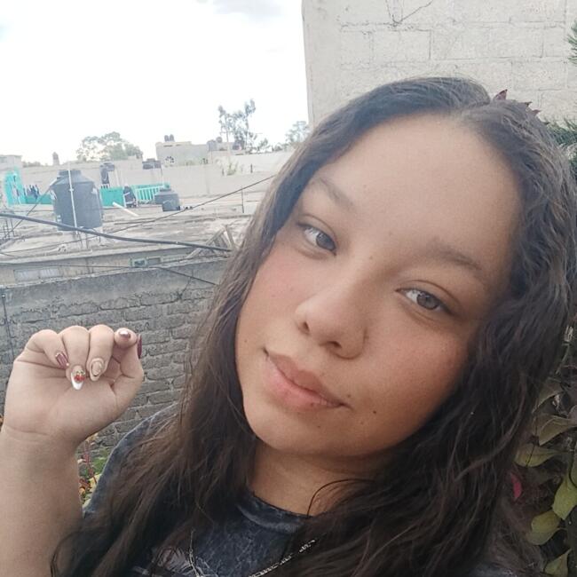 Niñera en La Paz: Laura helena hampl