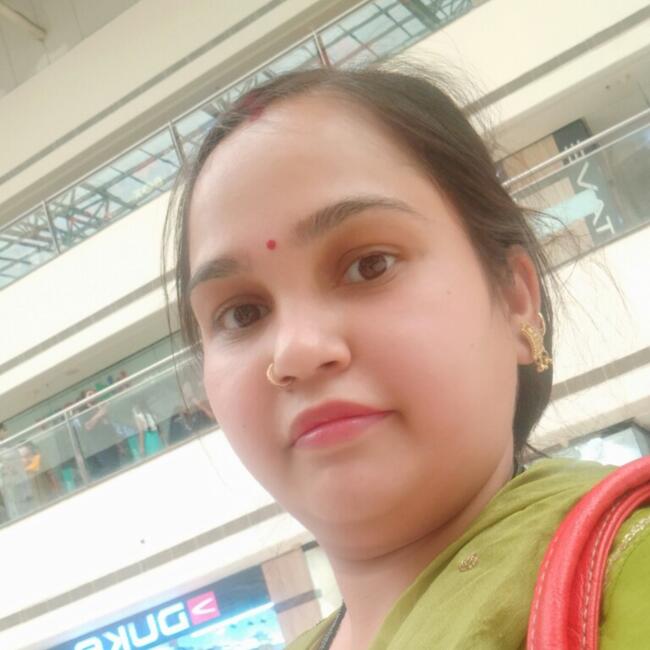 दिल्ली में बेबीसिटर: Preeti