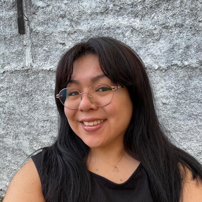 Babysitter in Santiago: Genesis