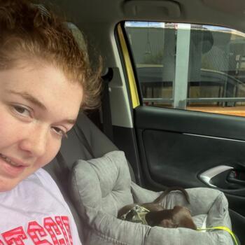 Babysitter Hobart: Molly