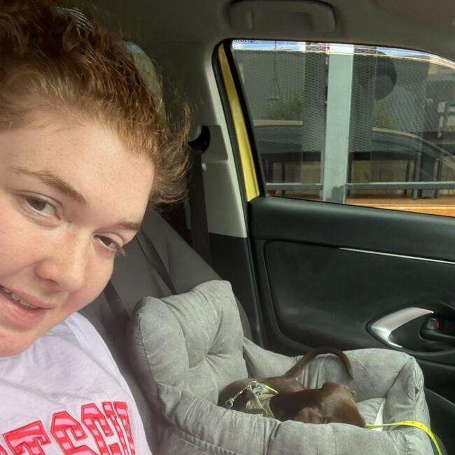 Babysitter in Hobart: Molly