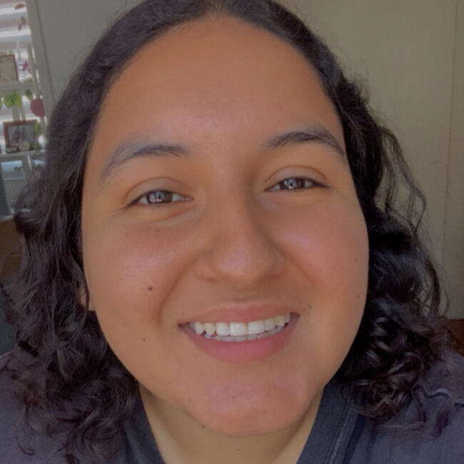 Niñera en Villa Alemana: Araceli