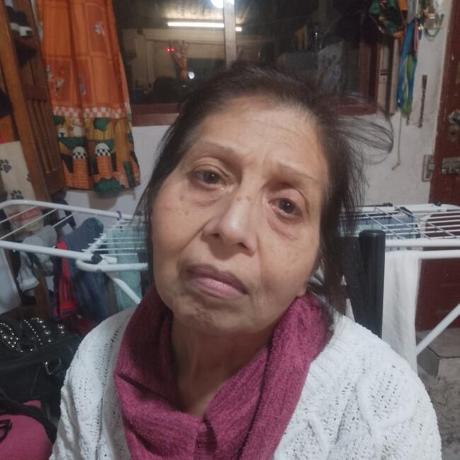 Niñera en Ciudad del Libertador General San Martín: Carmen