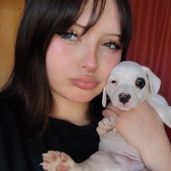 Babysitter in La Florida: Catalina