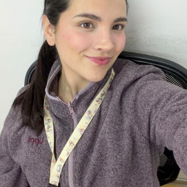 Babysitting job in Coquimbo: AYLEEN