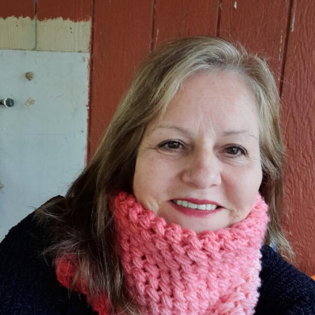 Babysitter in Cauquenes: Gloria