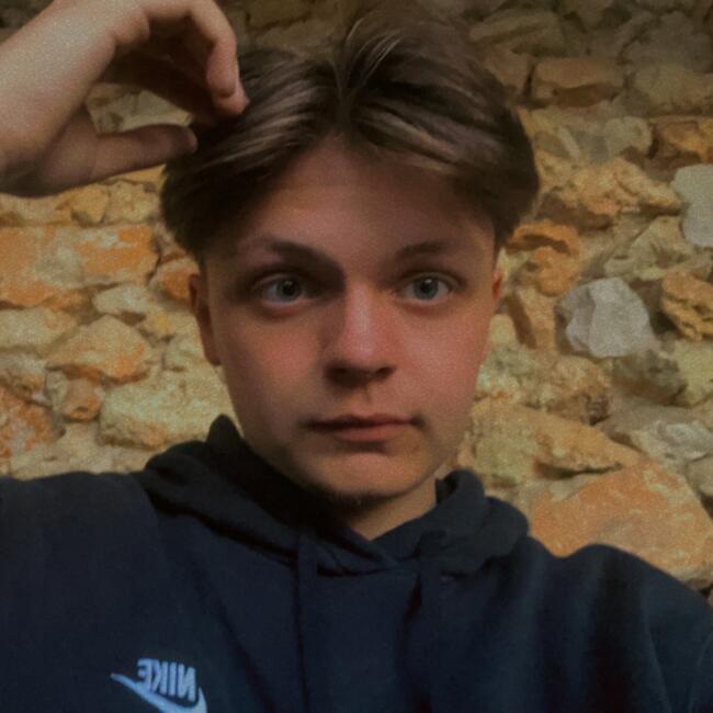 Babysitter in Saint-Martin-d'Hères: Mathis