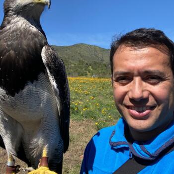 Trabajo para niñera en Santiago de Chile: trabajo de niñera Marco
