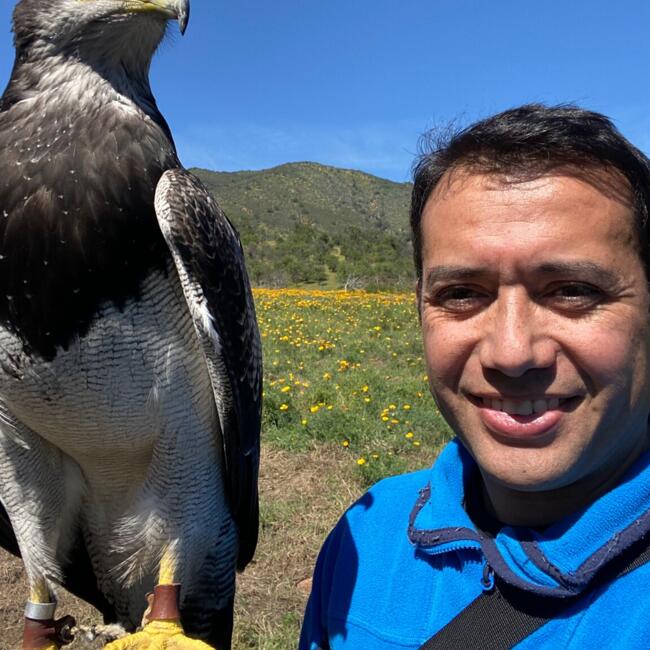 Babysitting job in Santiago: Marco