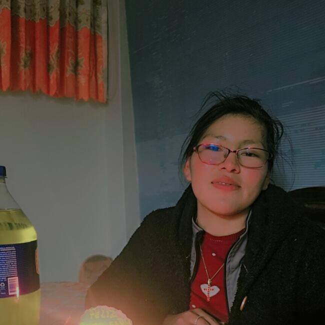 Babysitter in Ilave: Leydi
