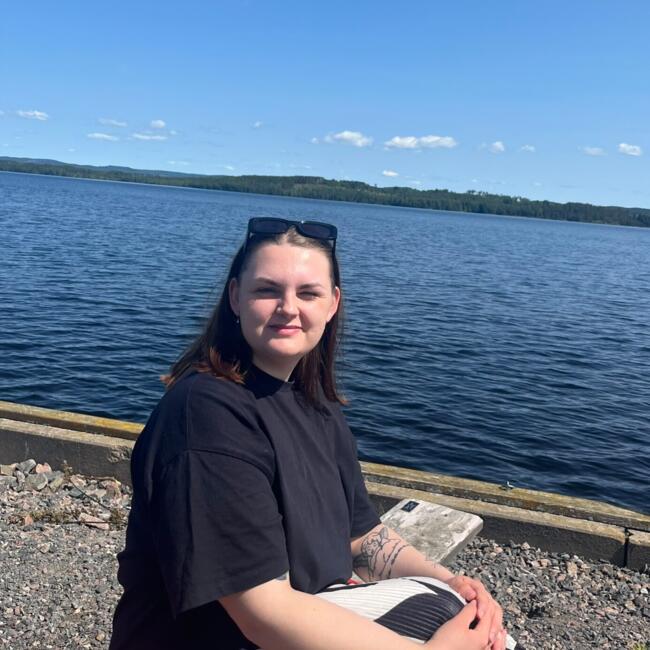 Babysitter in Karlstad: Adina