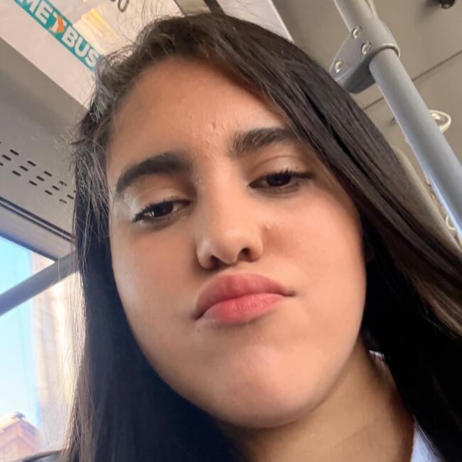 Babysitter in Maipú: Ivania