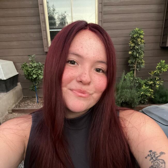 Babysitter in La Florida: Ariana