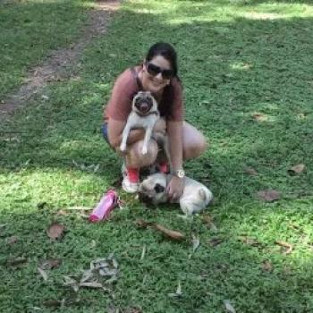 Emprego de babá São Paulo: emprego de babá Flavia