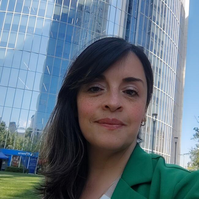 Trabajo para niñera en Santiago de Chile: Alejandra