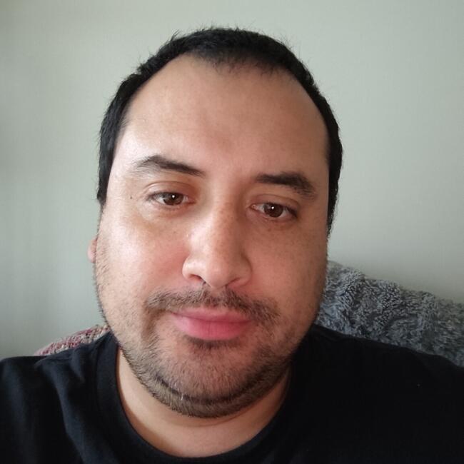 Babysitting job in Valdivia: Felipe