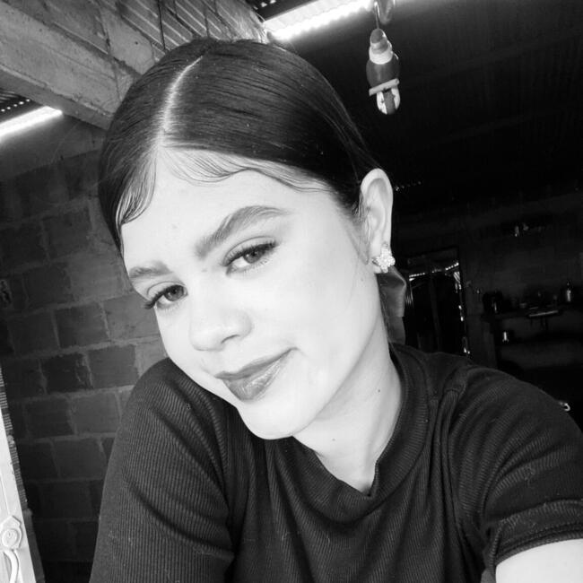 Babysitter in Pitalito: Liseth Dayana