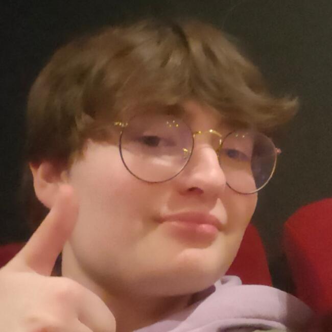 Babysitter in Saint Nicolas Les Arras: Sarah