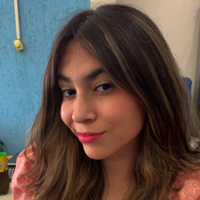 Babysitter in Caldas Novas: Ana Julia