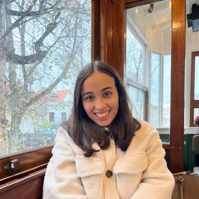 Babysitter in Vila Nova de Gaia: Ana