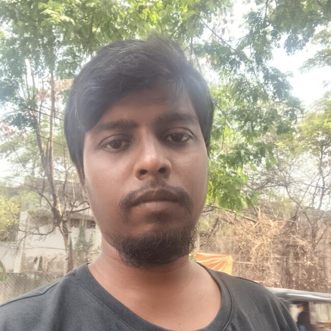 Babysitter in Hyderabad: Raj