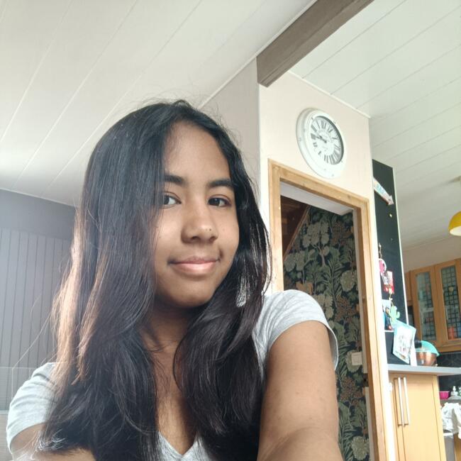 Babysitter in Villeneuve-le-Roi: Aintsoa