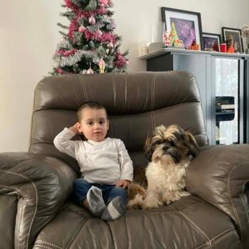 Babysitter Job in Zonnebeke: Babysitter Job Emilie