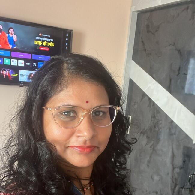 हैदराबाद में बेबीसिटिंग की नौकरी: Prasanna