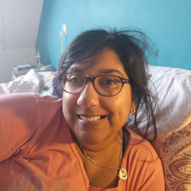 Babysitting job in Leusden: Rohila