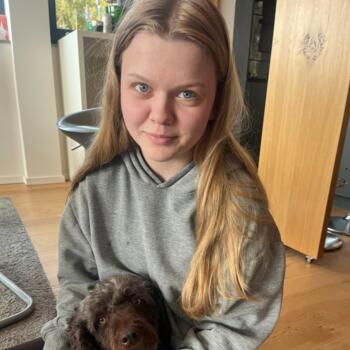 Babysitter in Osnabrück: Greta
