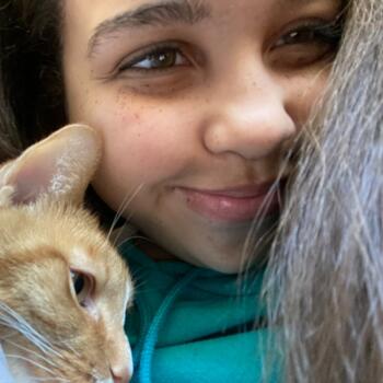 Babysitter in Covington (Kentucky): January