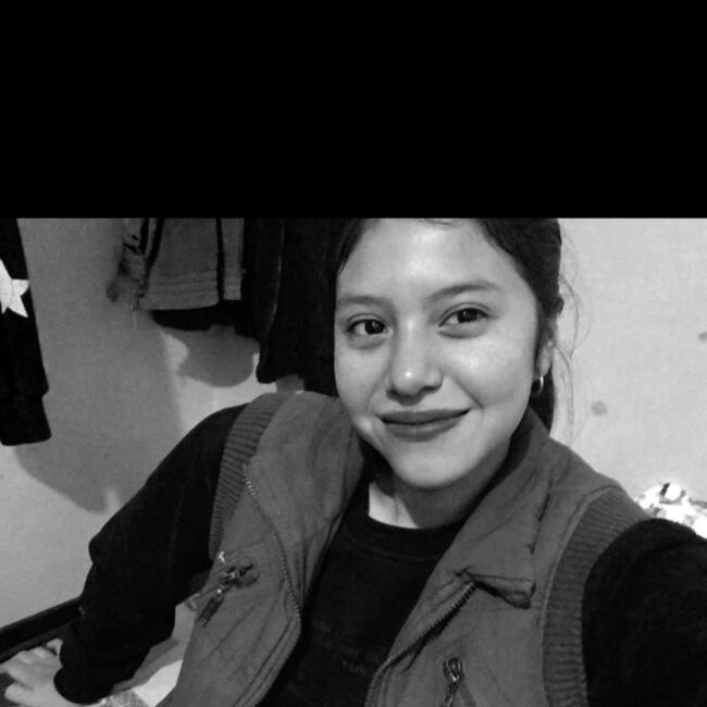 Babysitter στην περιοχή Λίμα: Lizbeth
