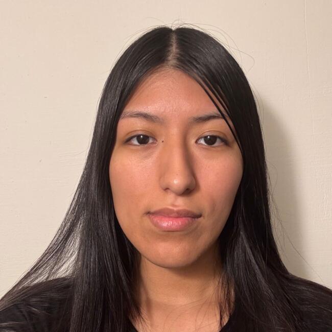 Niñera en Buenos Aires: Erica