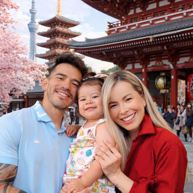 Babysitting job in Santiago: July