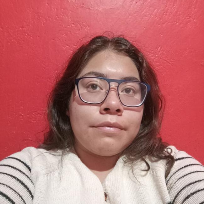 Babysitter in Naucalpan: Evelin Astrid.