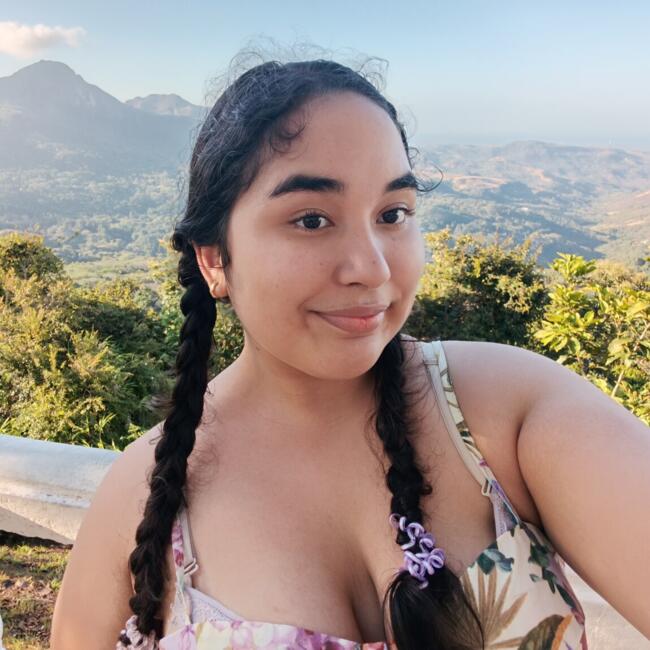 Babysitter in Nuevo Arraiján: Milagros A. Quintero