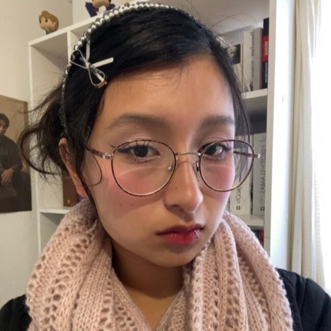 Niñera en Ciudad de México: Jimena