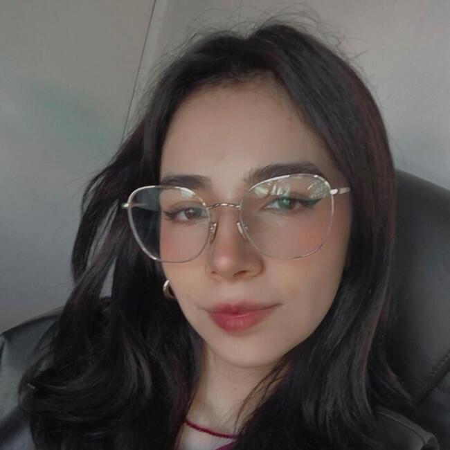 Niñera en Puente Alto: Llizeth