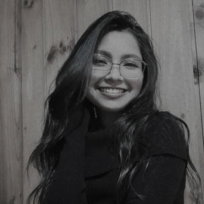 Babysitter in Port Montt: Antonia