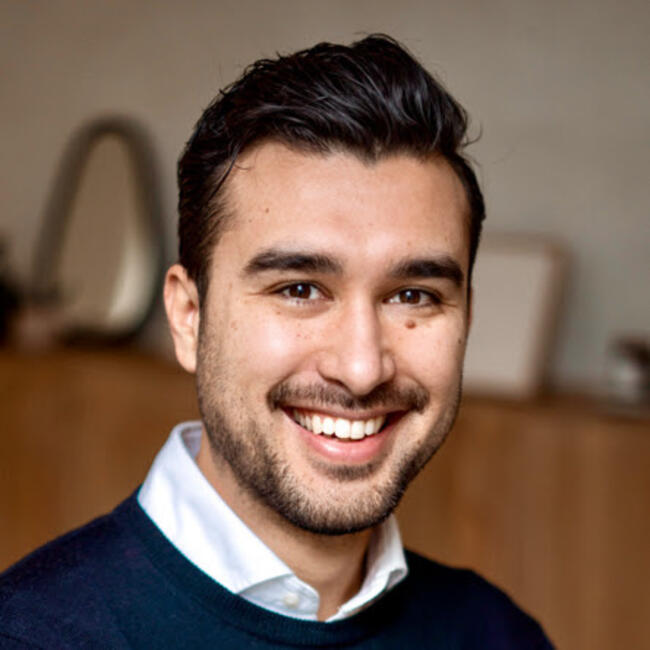 Oppaswerk in Den Haag: Harry