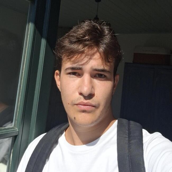 Babysitter in Niort: Louis