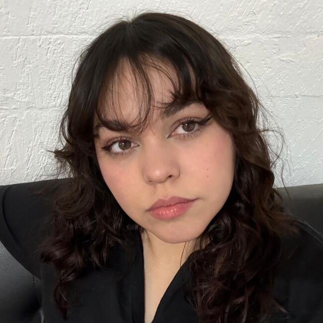 Babysitter in Hermosillo: Micheel