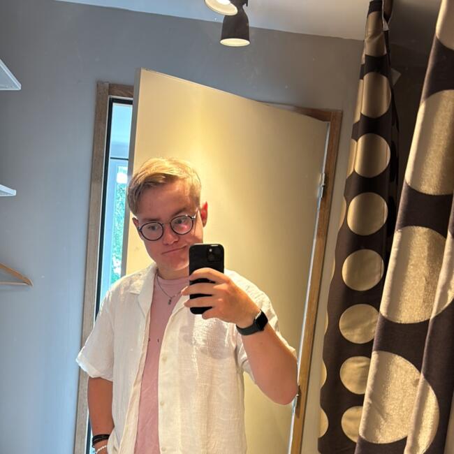 Babysitter in Henvic: Roman