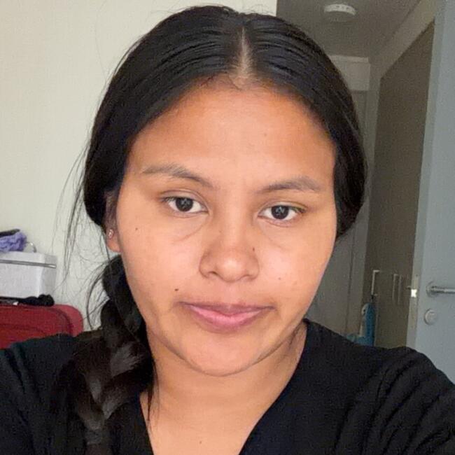 Babysitter in Santiago: CHAMBI ZEBLLOS