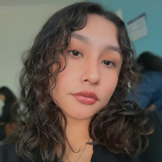 Niñera en Comas (Departamento de Lima): MILAGROS