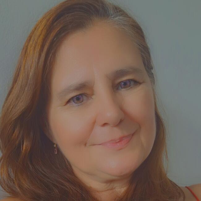 Babá em São José dos Campos: SILVIA