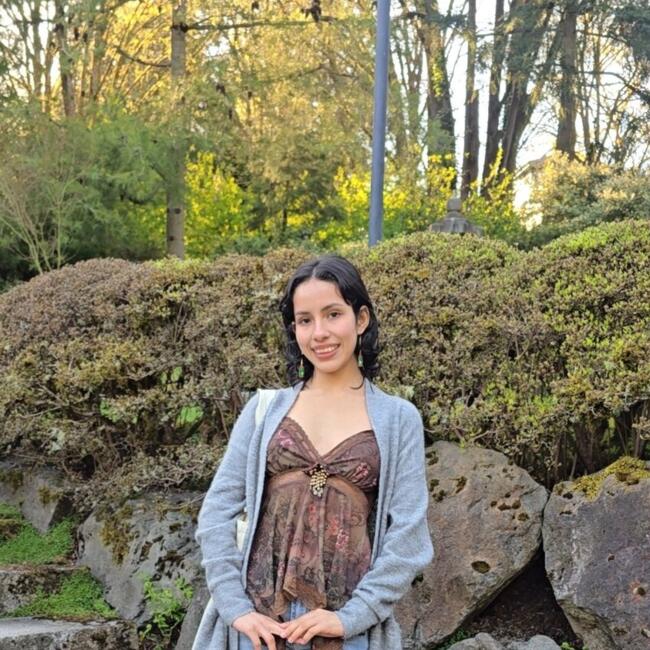 Babysitter in Tukwila: Alisson