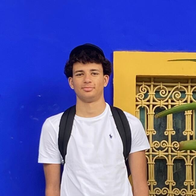 Babysitter in Noisy-le-Grand: Elizio